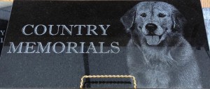 1001237_714526591896294_278714325_n